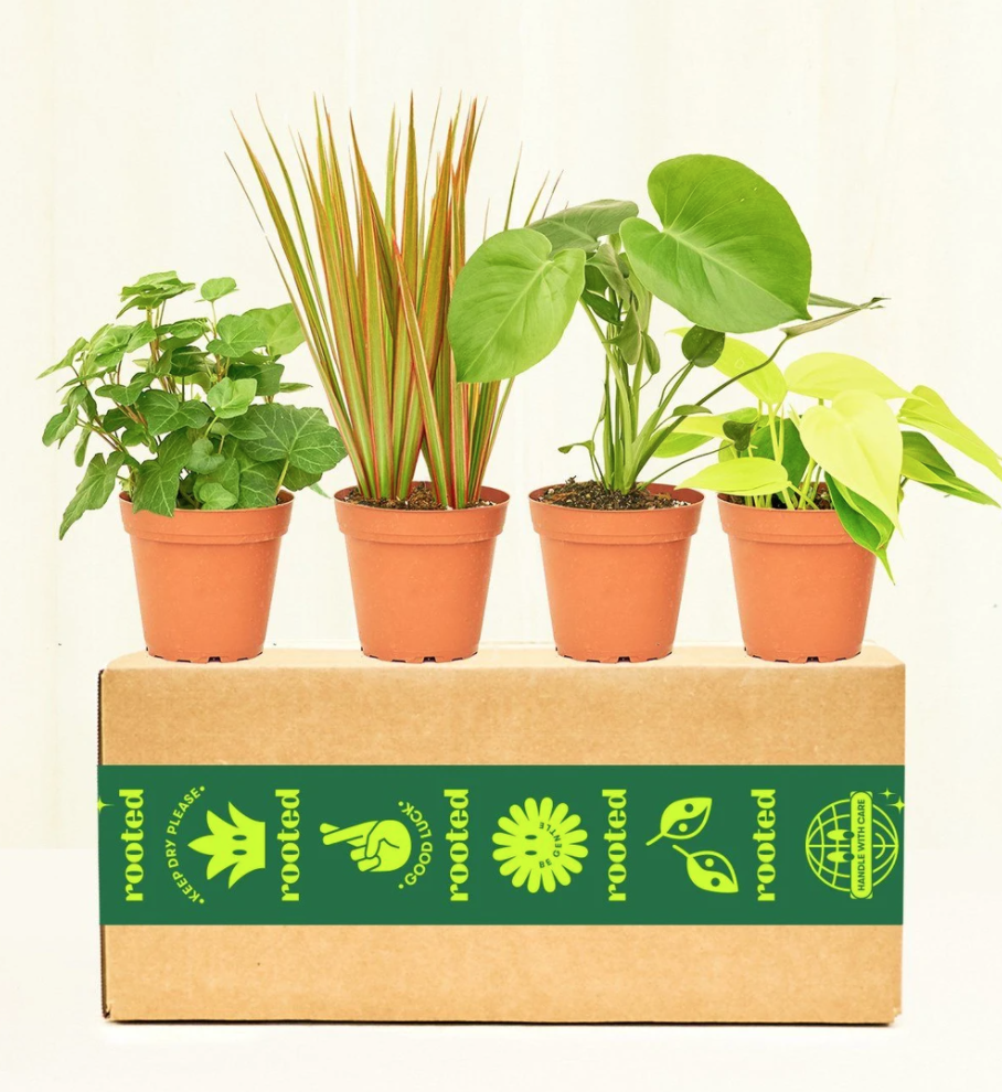 Gifts to Mail a Friend Girls' Night In Shop